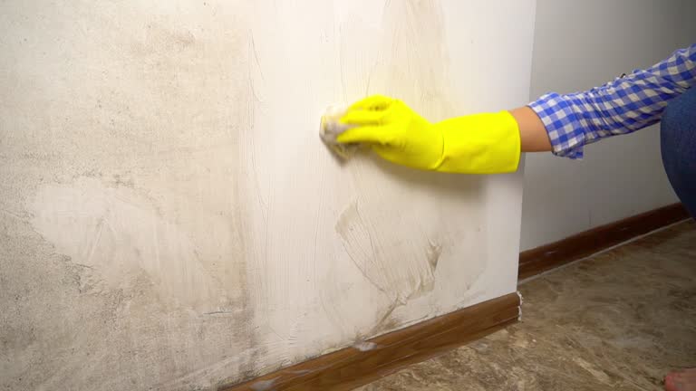 Best Commercial Mold Inspection  in Quinlan, TX