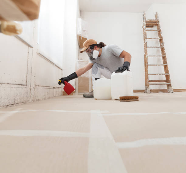 Reliable Quinlan, TX Mold Removal Solutions